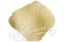 Picture of Silk Rose Petals Yellow Canary